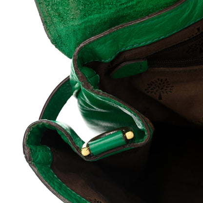 Mulberry Soft Buffalo Medium Alexa Aqua Green 17 of 17