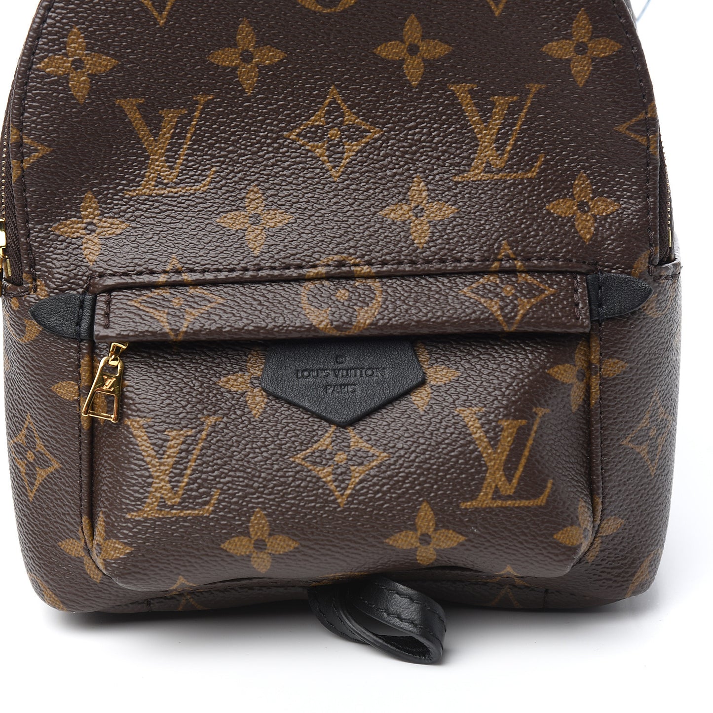 Monogram Palm Springs Backpack Mini