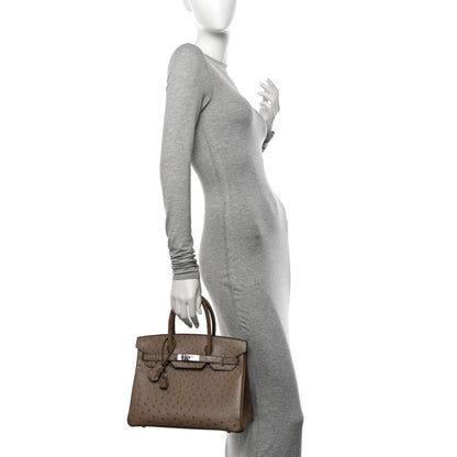 Hermes Ostrich Birkin 30 Mousse 2 of 15