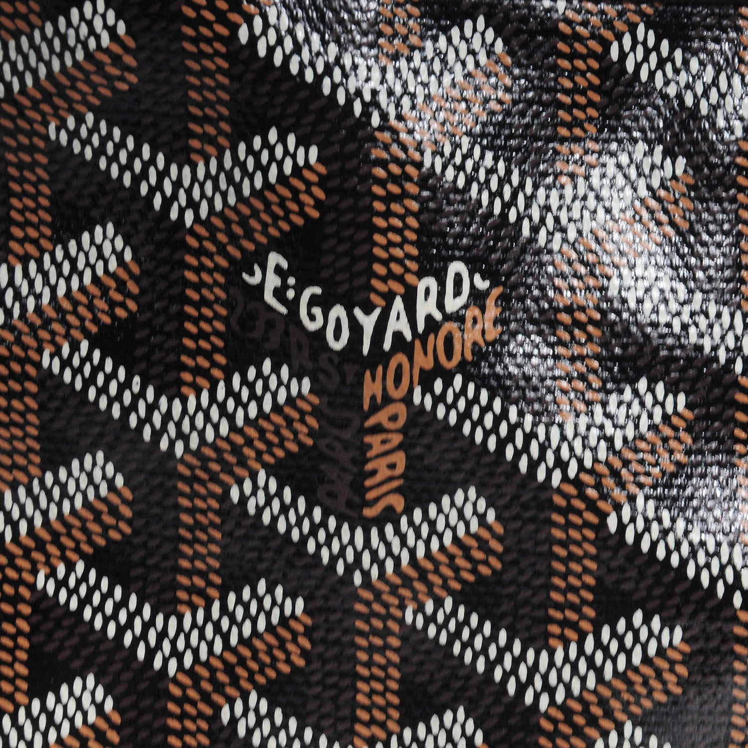 Goyard Goyardine Saint Louis PM Black 6 of 7