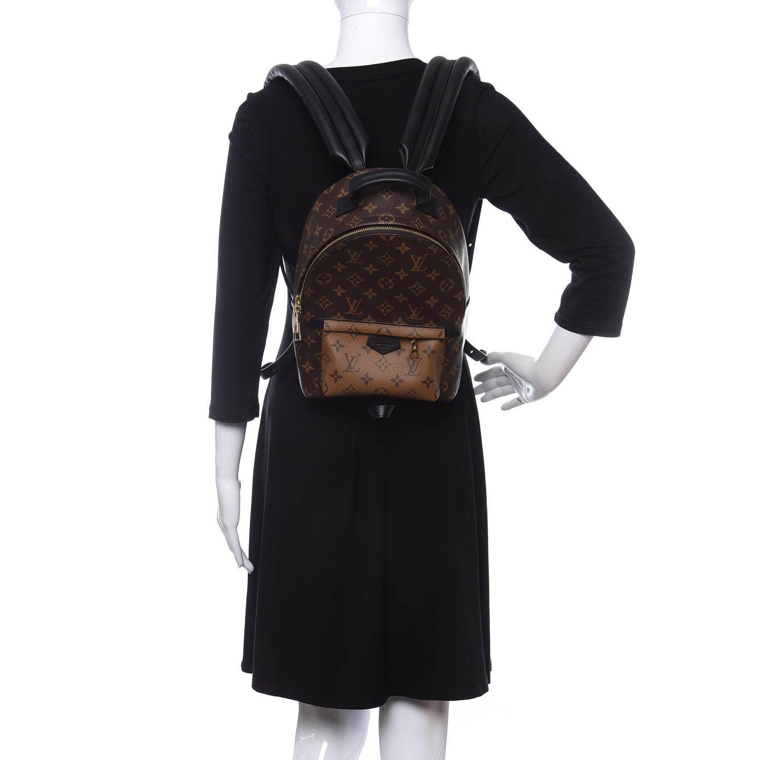 Louis Vuitton Reverse Monogram Palm Springs Backpack PM 2 of 10