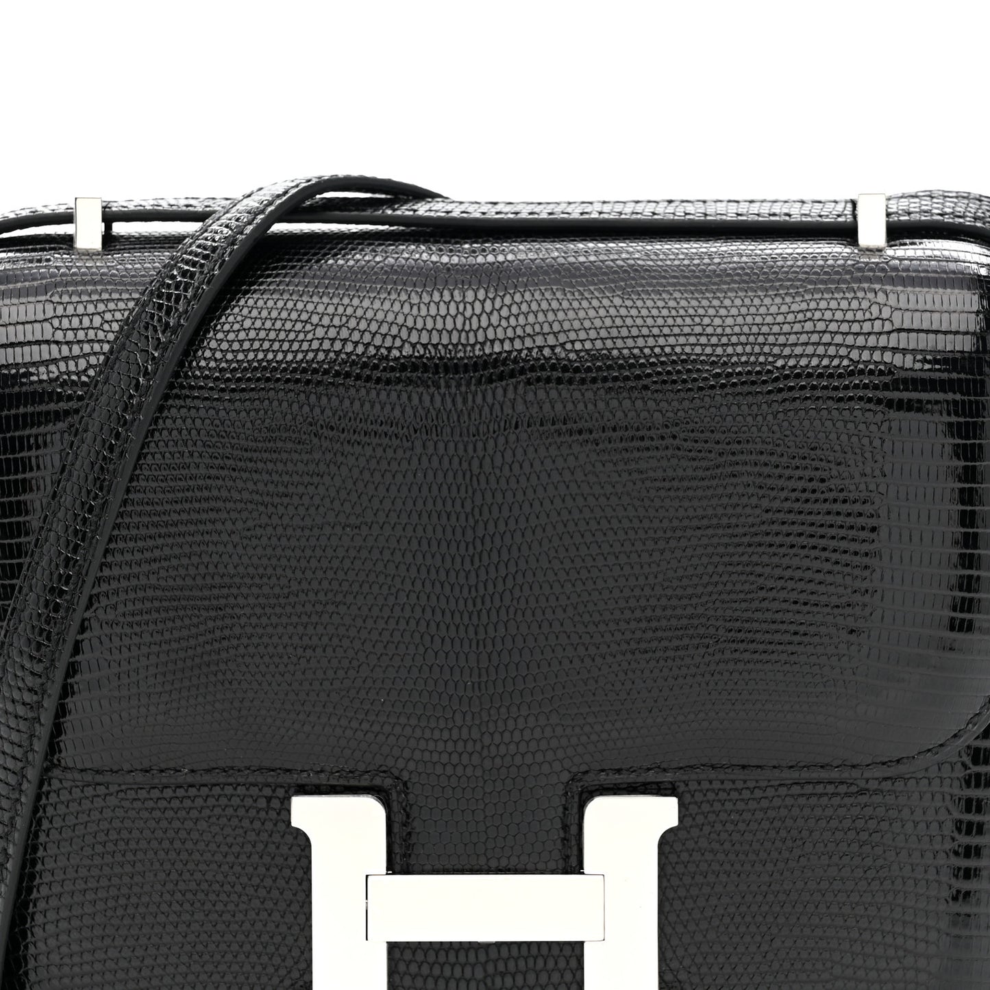 Lizard Constance 18 Black