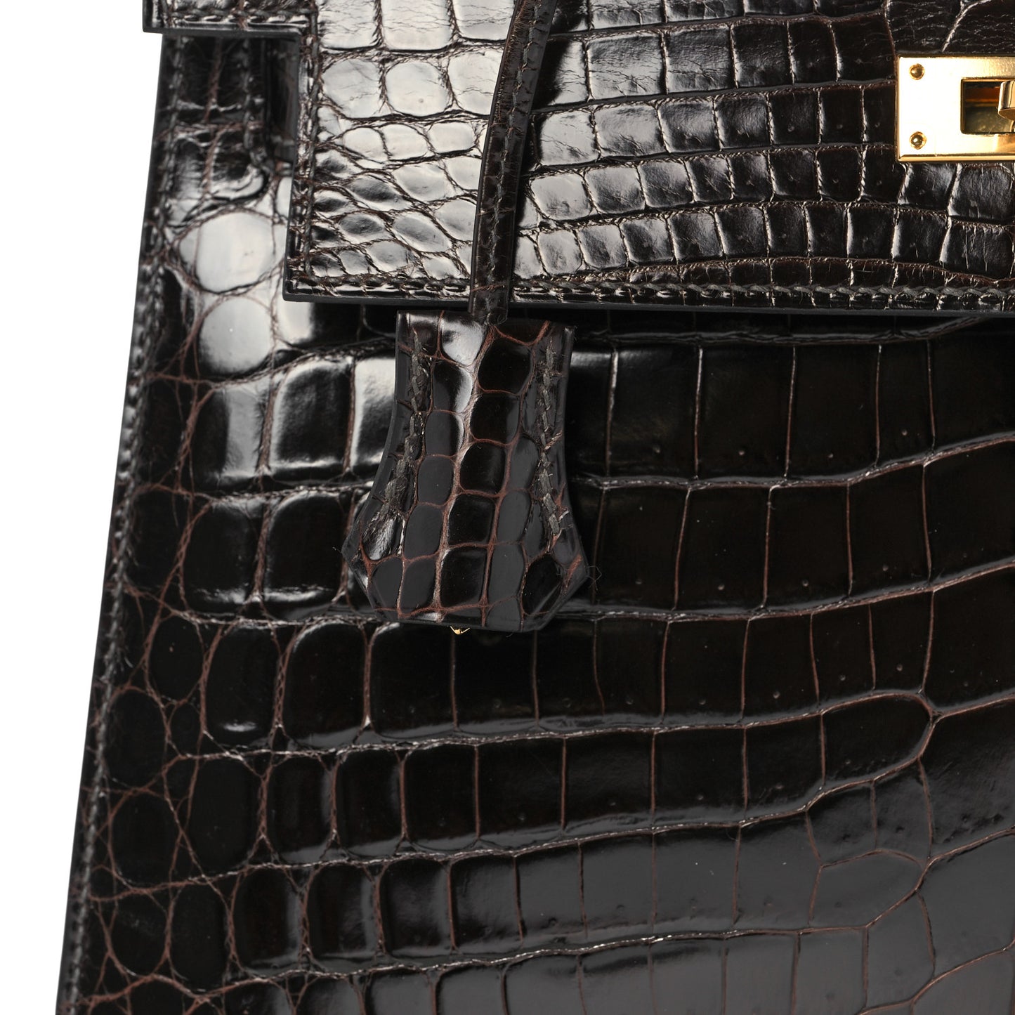 Shiny Niloticus Crocodile Kelly Sellier 28 Macassar