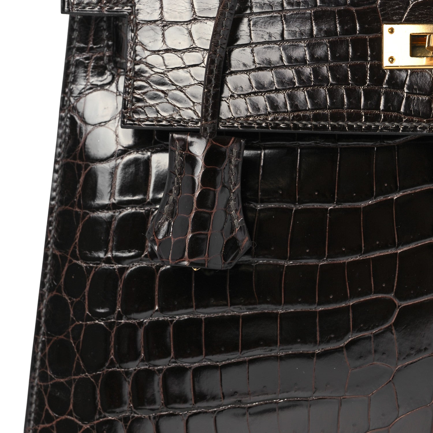 Hermes Shiny Niloticus Crocodile Kelly Sellier 28 Macassar 36 of 38