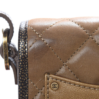 Chanel Iridescent Calfskin Back To School Mini Crossbody Flap Dark Gold 10 of 10