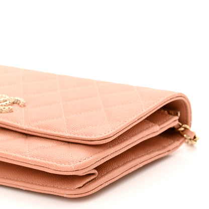 Chanel Caviar Quilted Perforated Metal CC Wallet On Chain WOC Beige 11 of 12