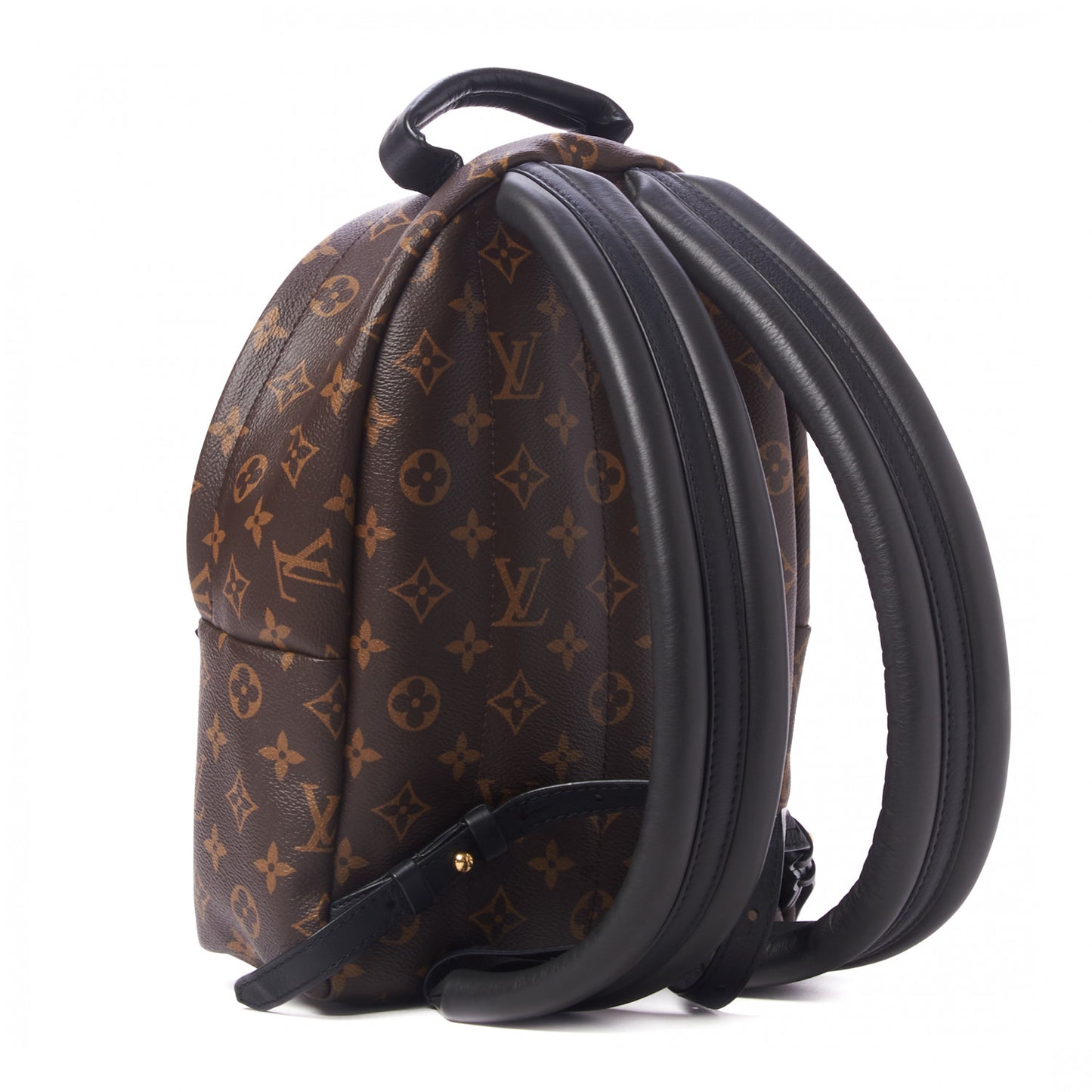 Monogram Palm Springs Backpack PM