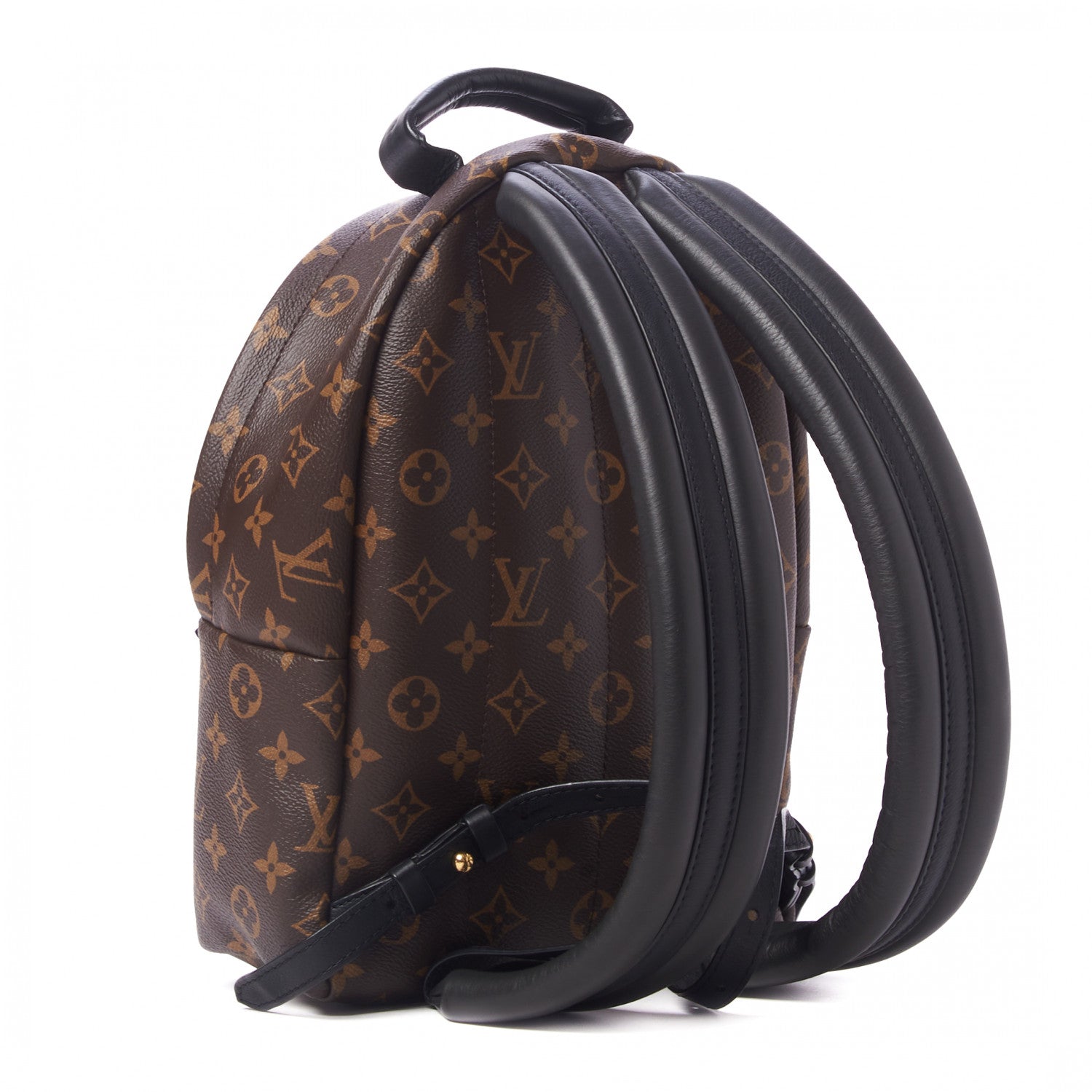 Louis Vuitton Monogram Palm Springs Backpack PM 3 of 8