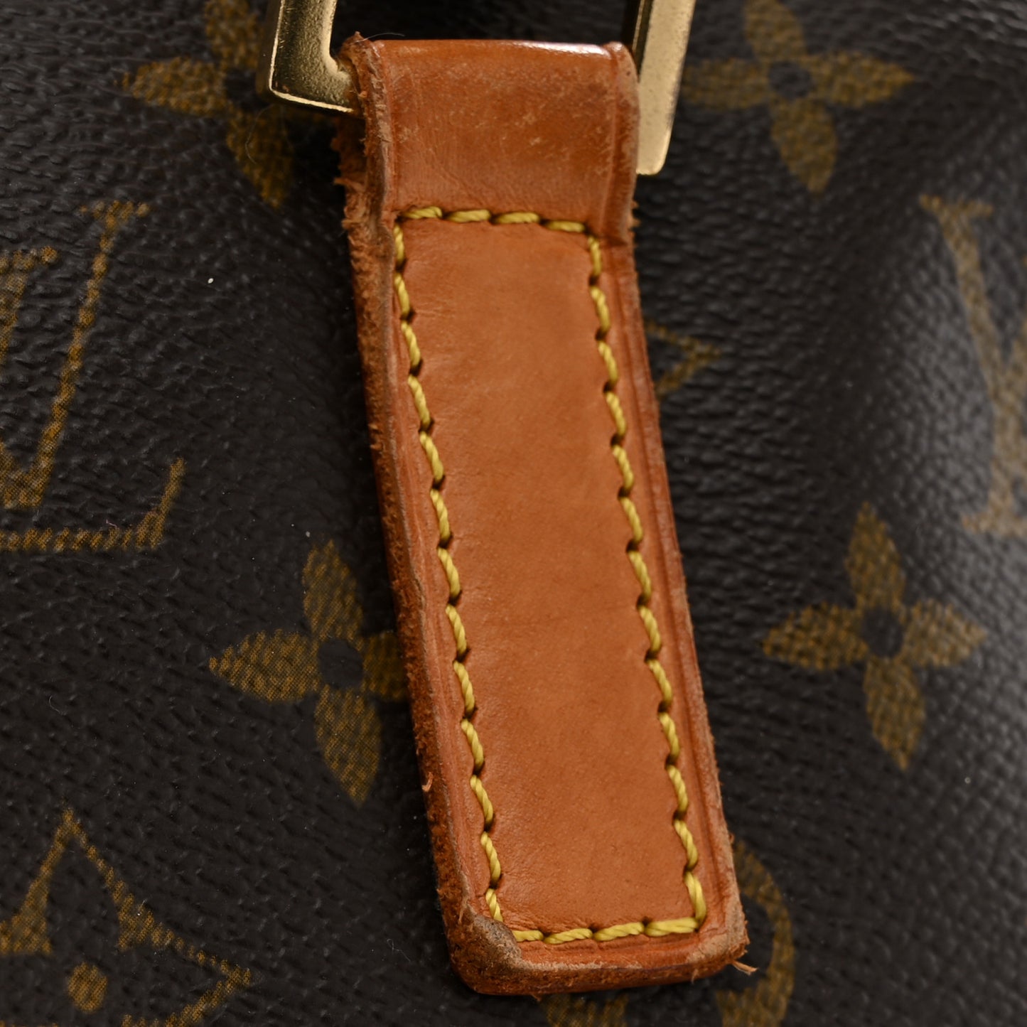 Monogram Cabas Mezzo