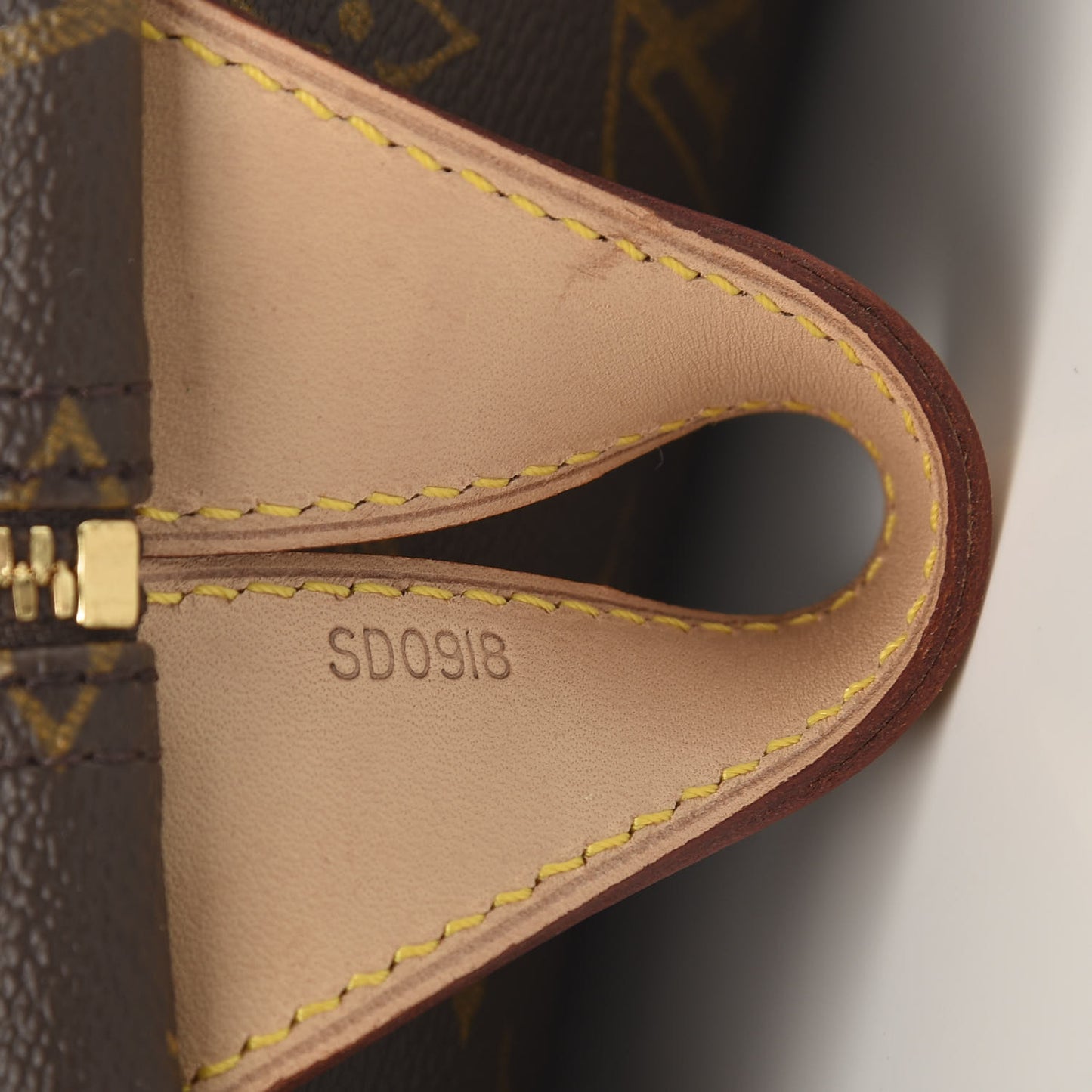 Monogram Garment Cover