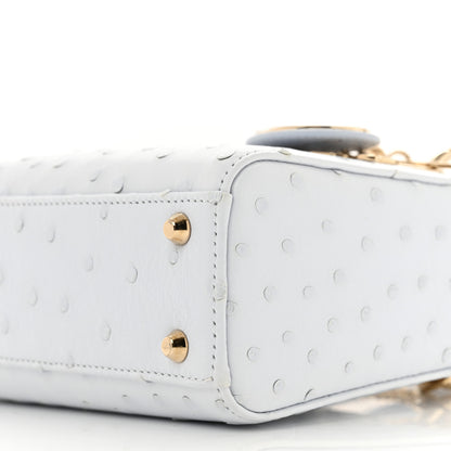 Christian Dior Ostrich Mini Lady Dior Light Blue 9 of 14