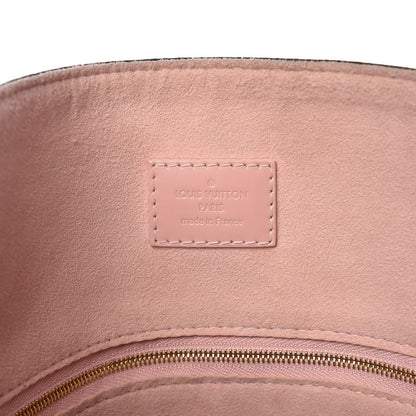 Louis Vuitton Damier Ebene Caissa Hobo Rose Ballerine 6 of 10