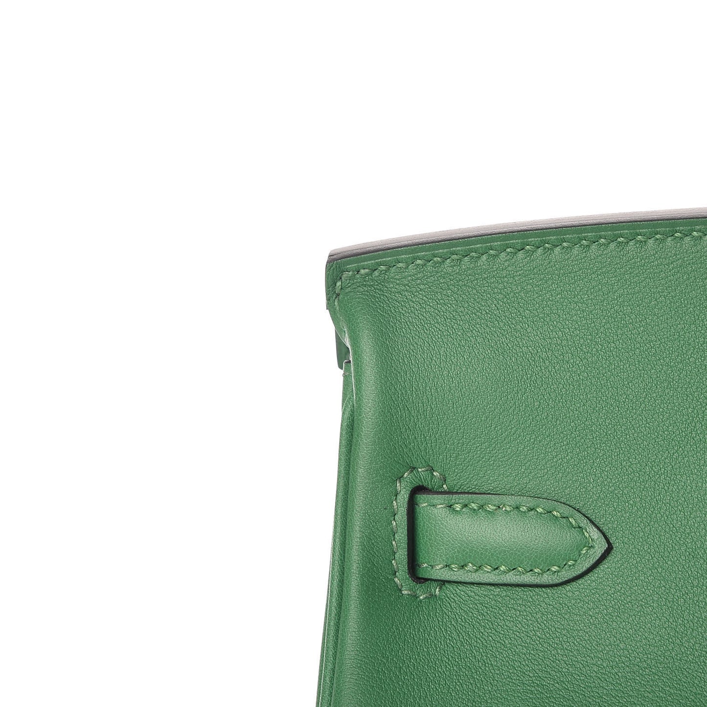 Swift Birkin 25 Cactus