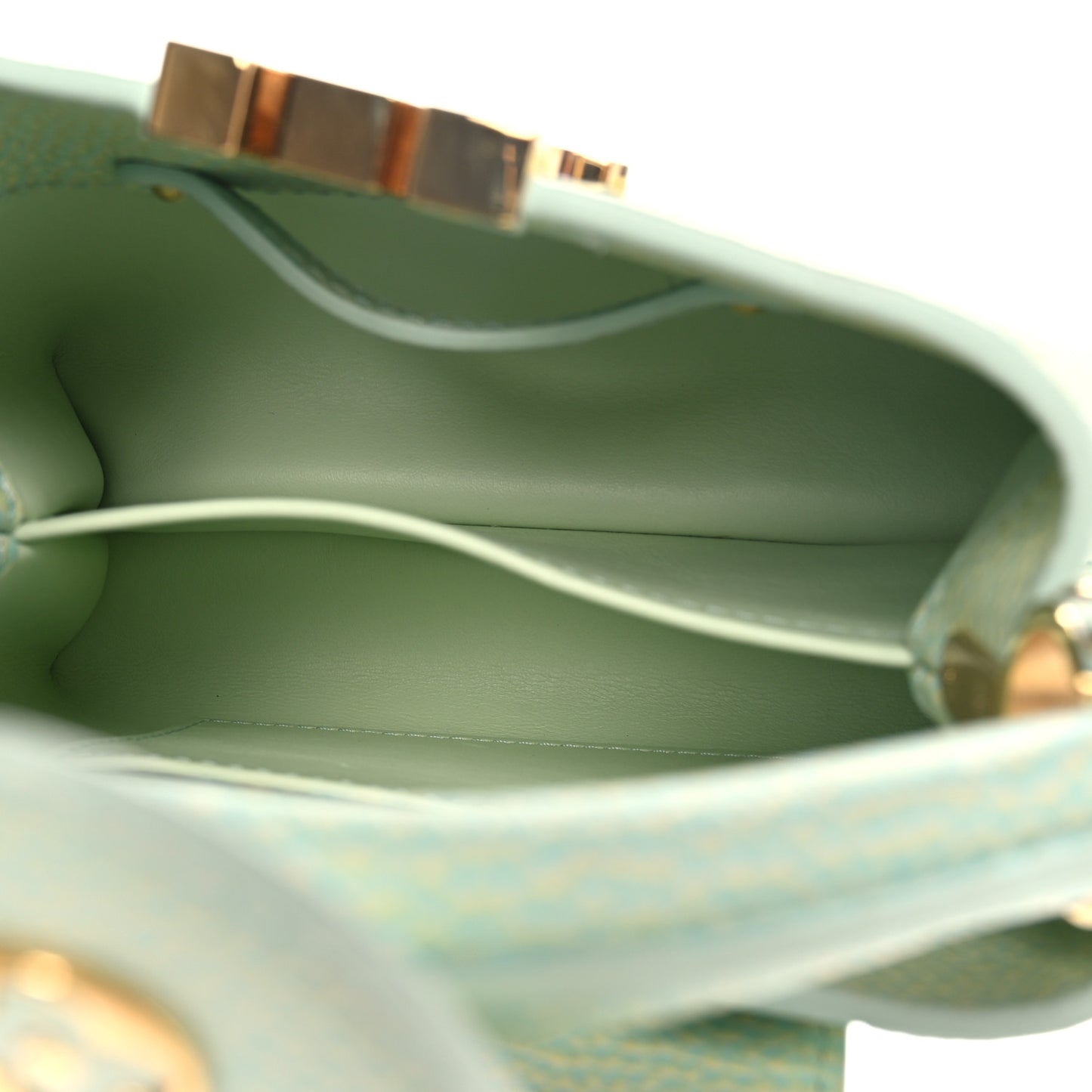 Taurillon Summer Stardust Mini Capucines Vert D'eau