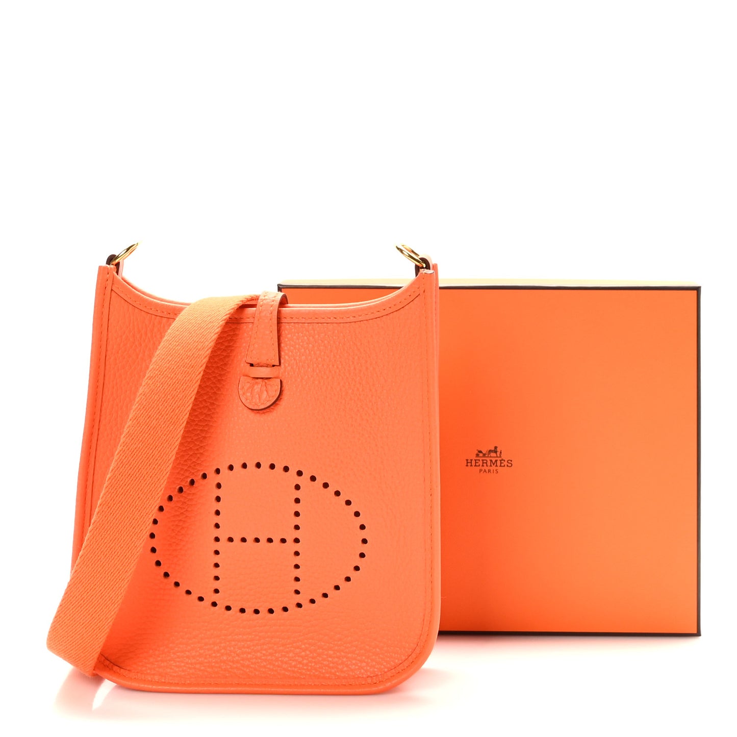 Taurillon Clemence Evelyne TPM Orange