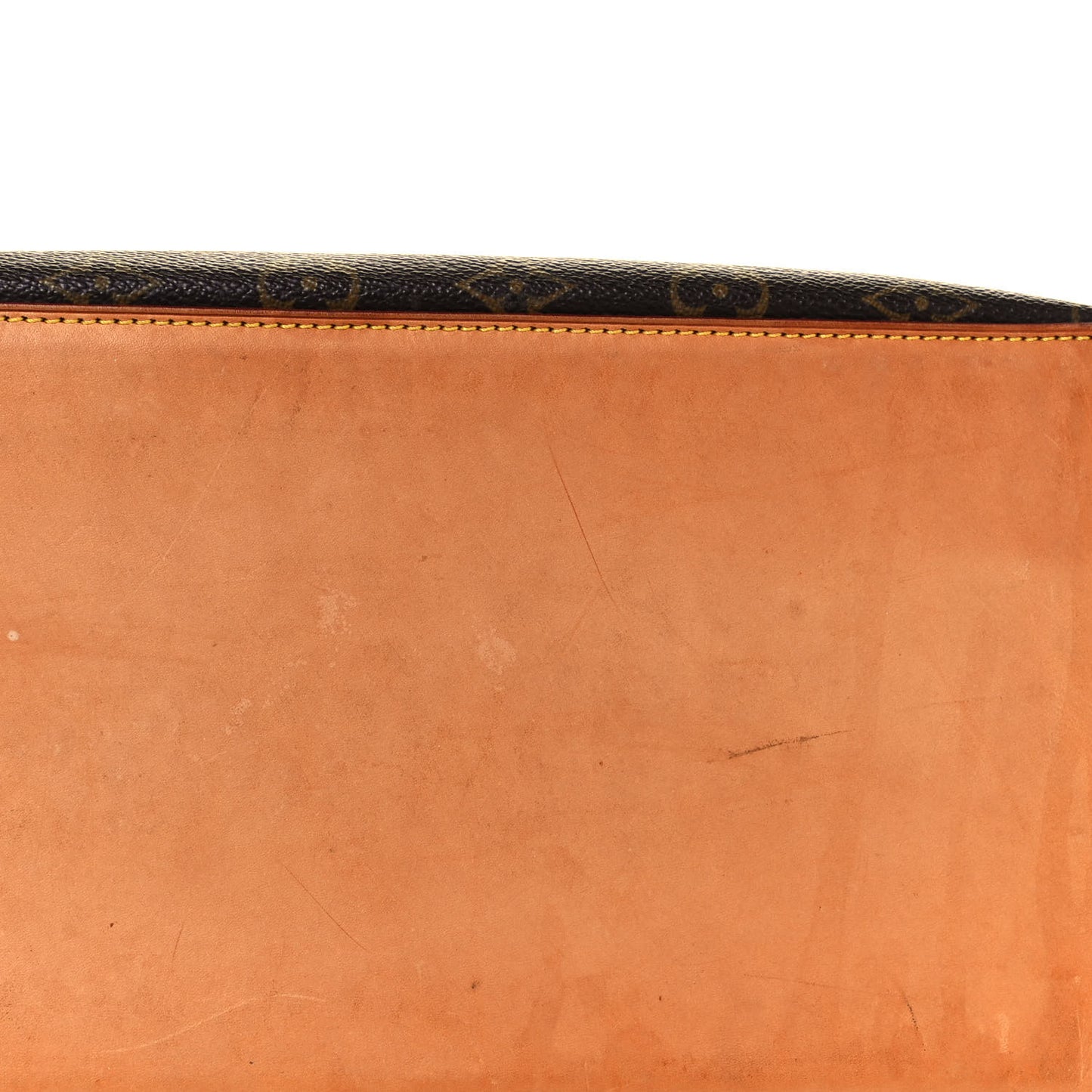 Monogram Cabas Mezzo