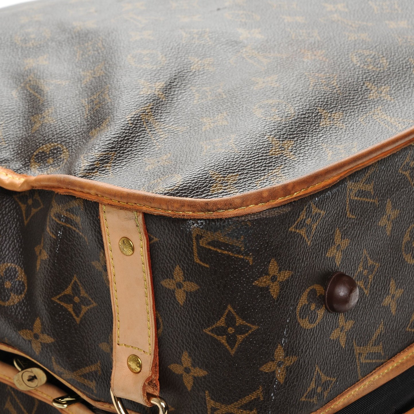 Monogram Garment Bag