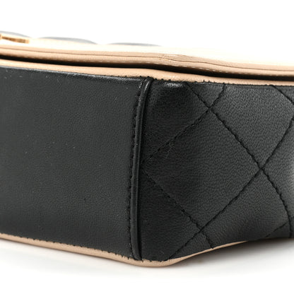 Chanel Sheepskin Quilted Small Vintage Mademoiselle Flap Beige Black 7 of 19