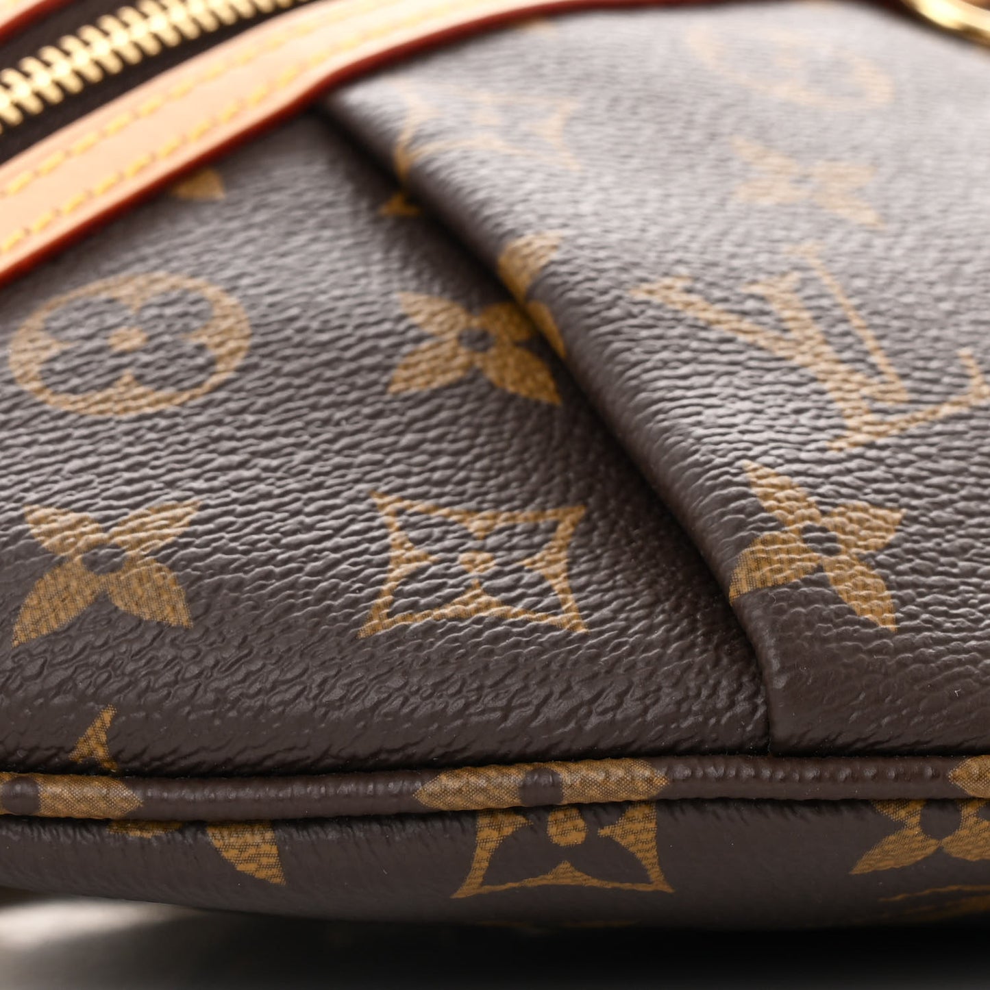 Monogram High Rise Bumbag