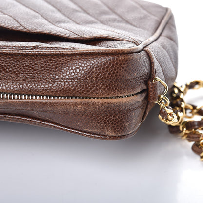 Chanel Caviar Camera Case Brown 14 of 17