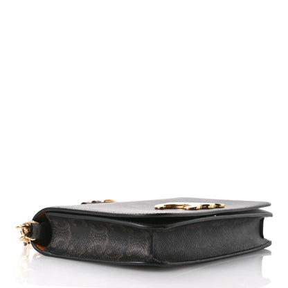 Celine Triomphe Canvas Multipochette Tan 4 of 12