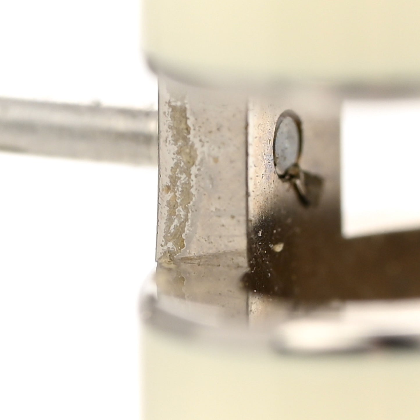 Palladium Lacquered Mini Pop H Earrings White