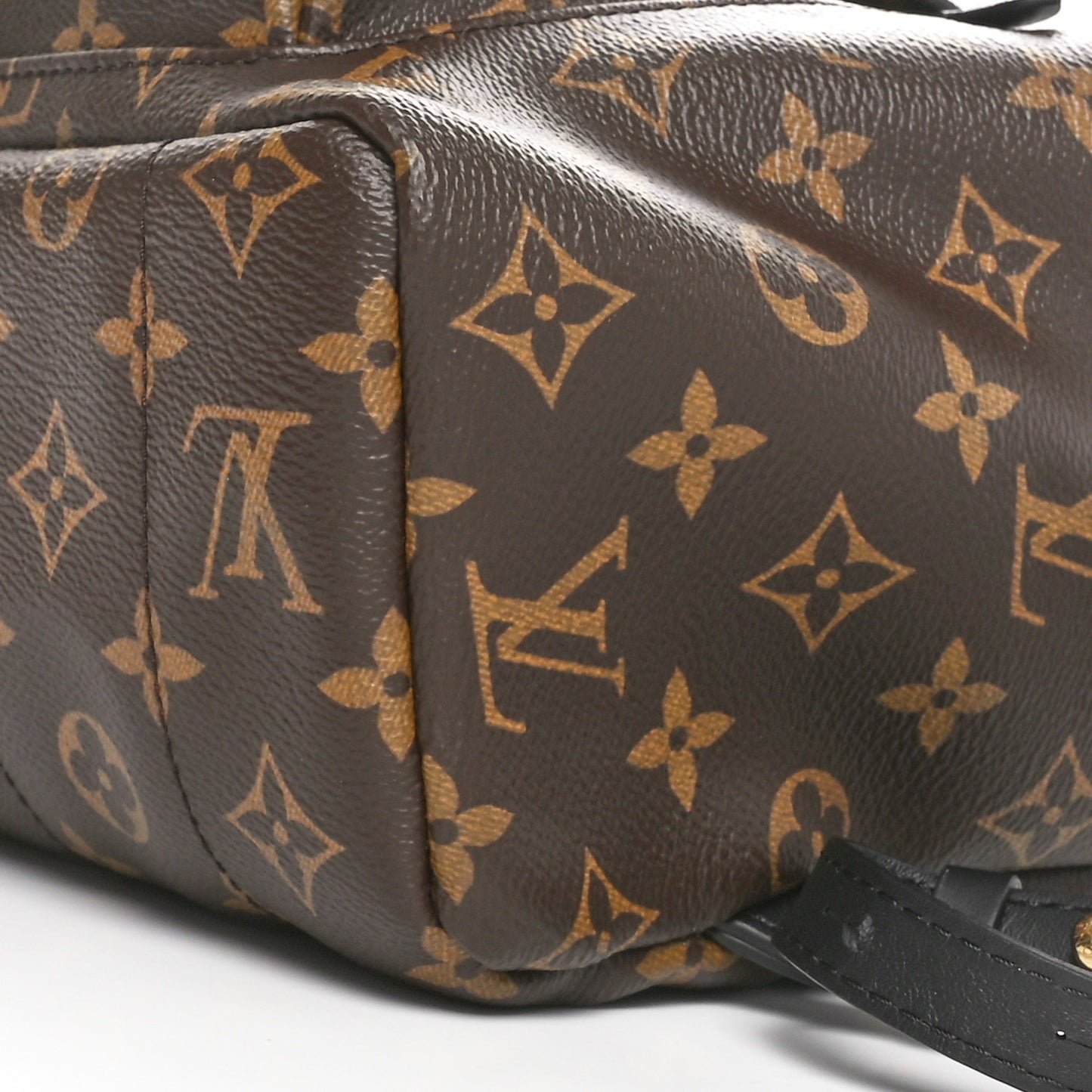 Monogram Palm Springs Backpack MM