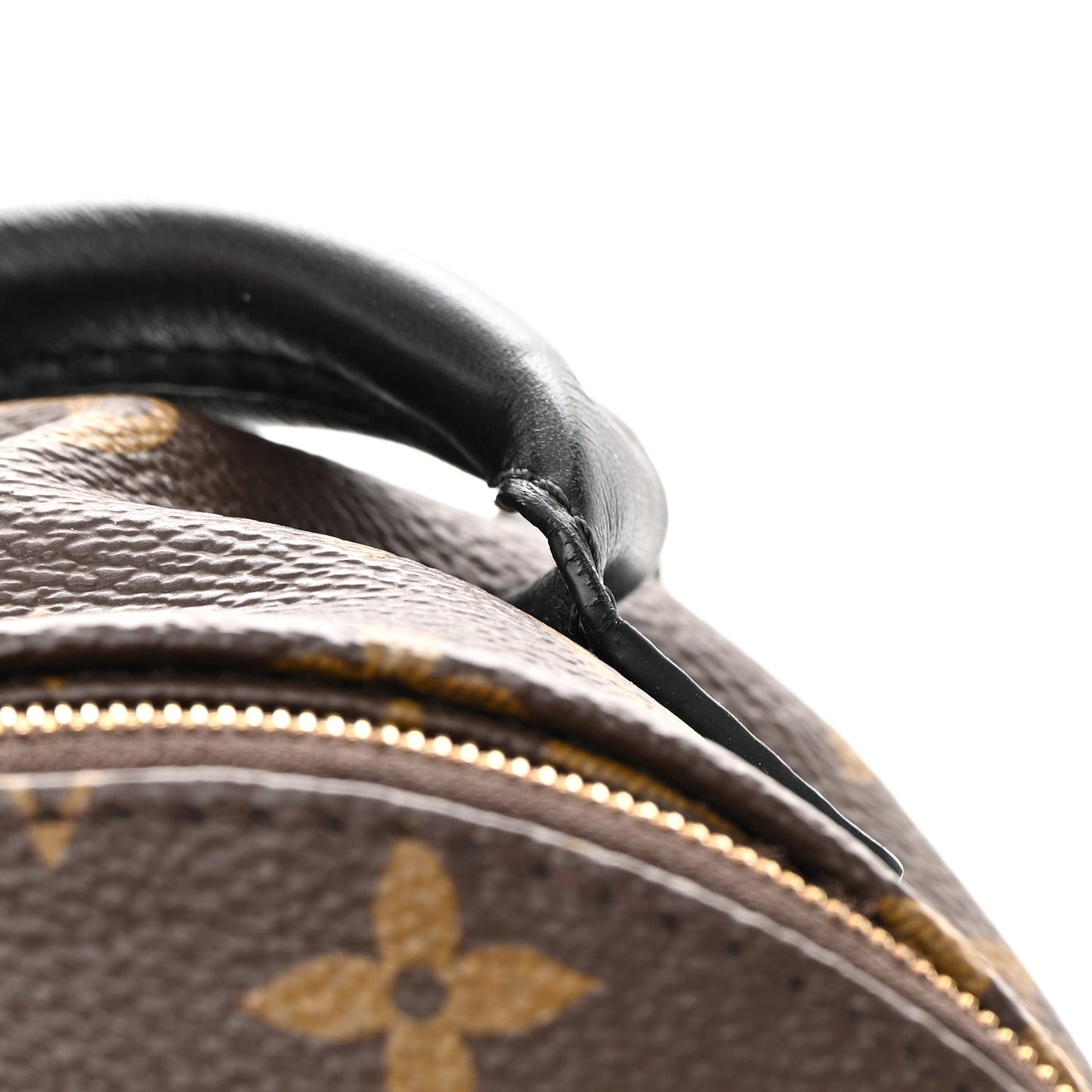 Monogram Palm Springs Backpack Mini