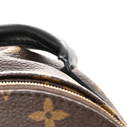 Louis Vuitton Monogram Palm Springs Backpack Mini 11 of 14