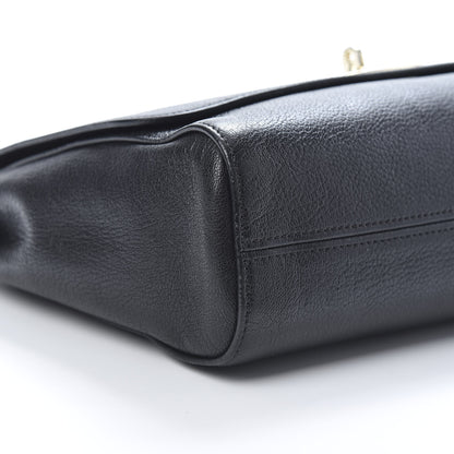 Mulberry Glossy Goatskin Medium Lily Black 10 of 11