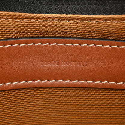 Celine Triomphe Canvas Calfskin Ava Shoulder Bag Tan 6 of 10
