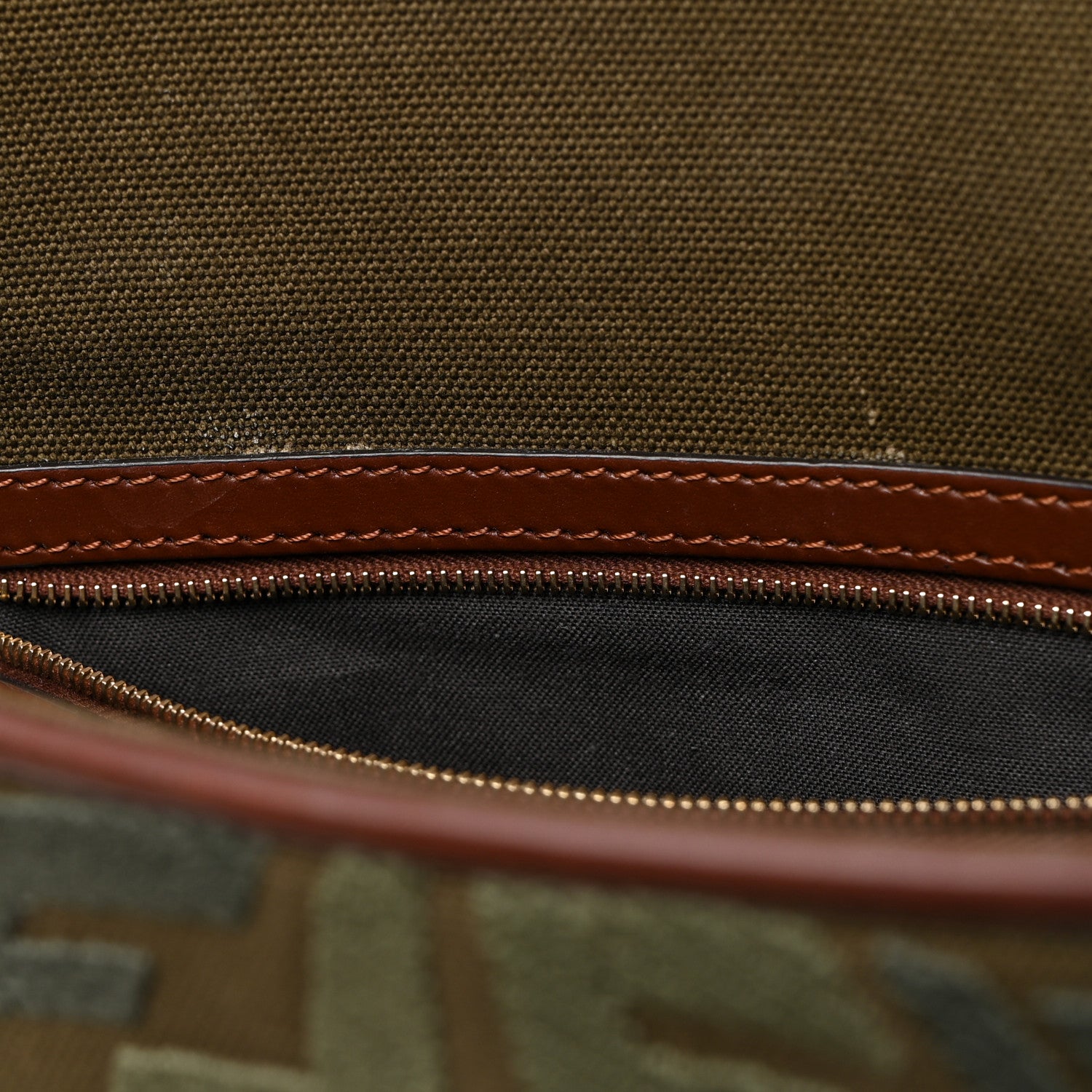 Fendi X SARA COLEMAN Canvas Vitello King FF Fish Eye Embroidered Baguette Amazzonia Ghianda 12 of 12
