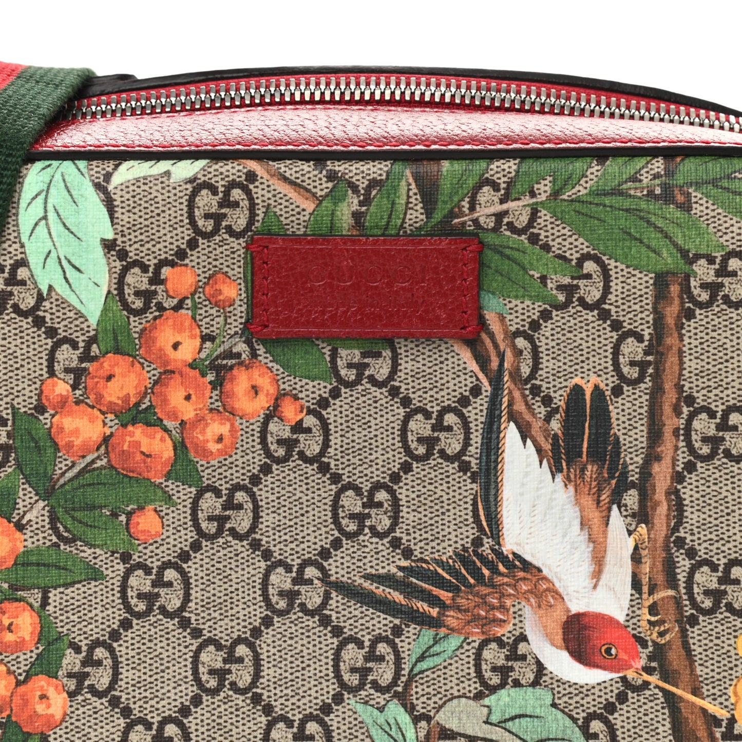 GG Supreme Monogram Tian Web Camera Bag Beige Multicolor Red