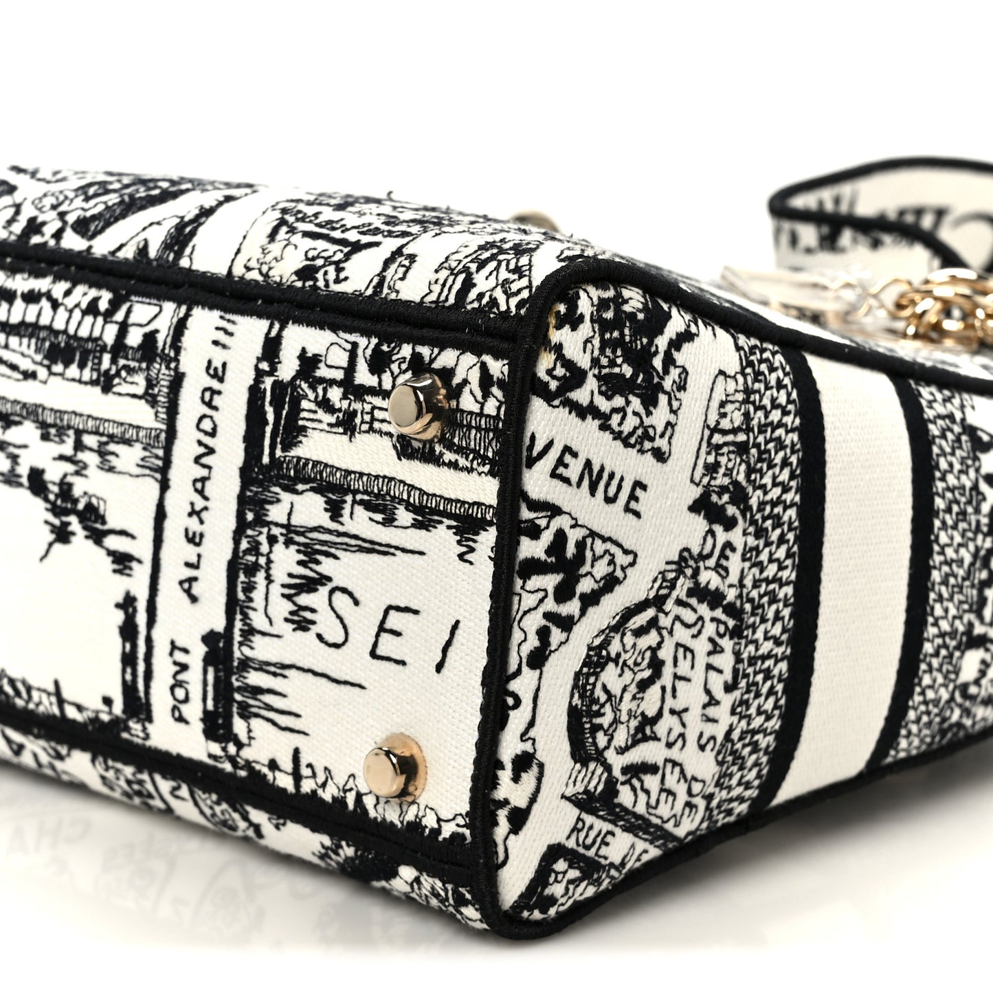 Canvas Embroidered Plan de Paris Medium Lady D-Lite White Black