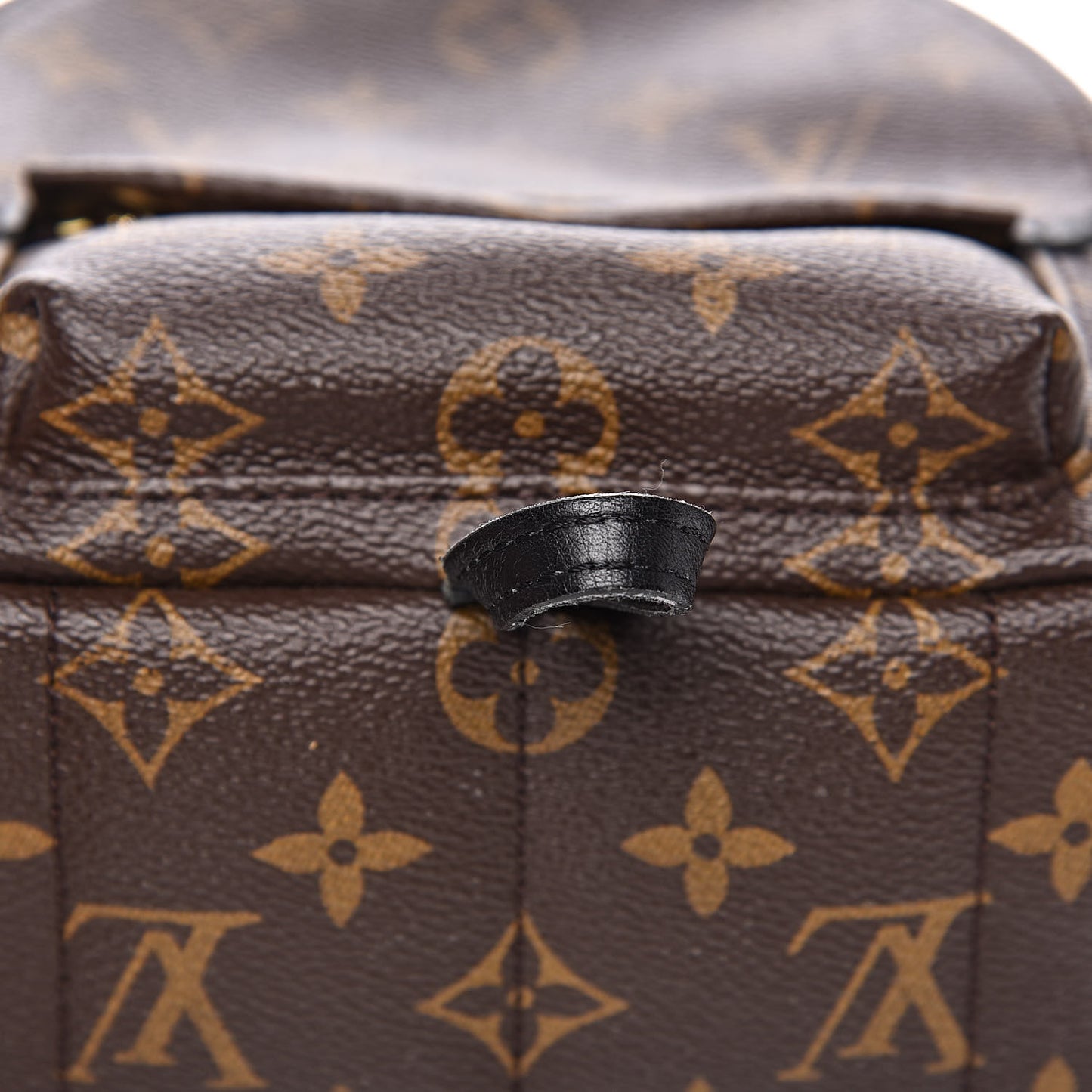 Monogram Palm Springs Backpack Mini