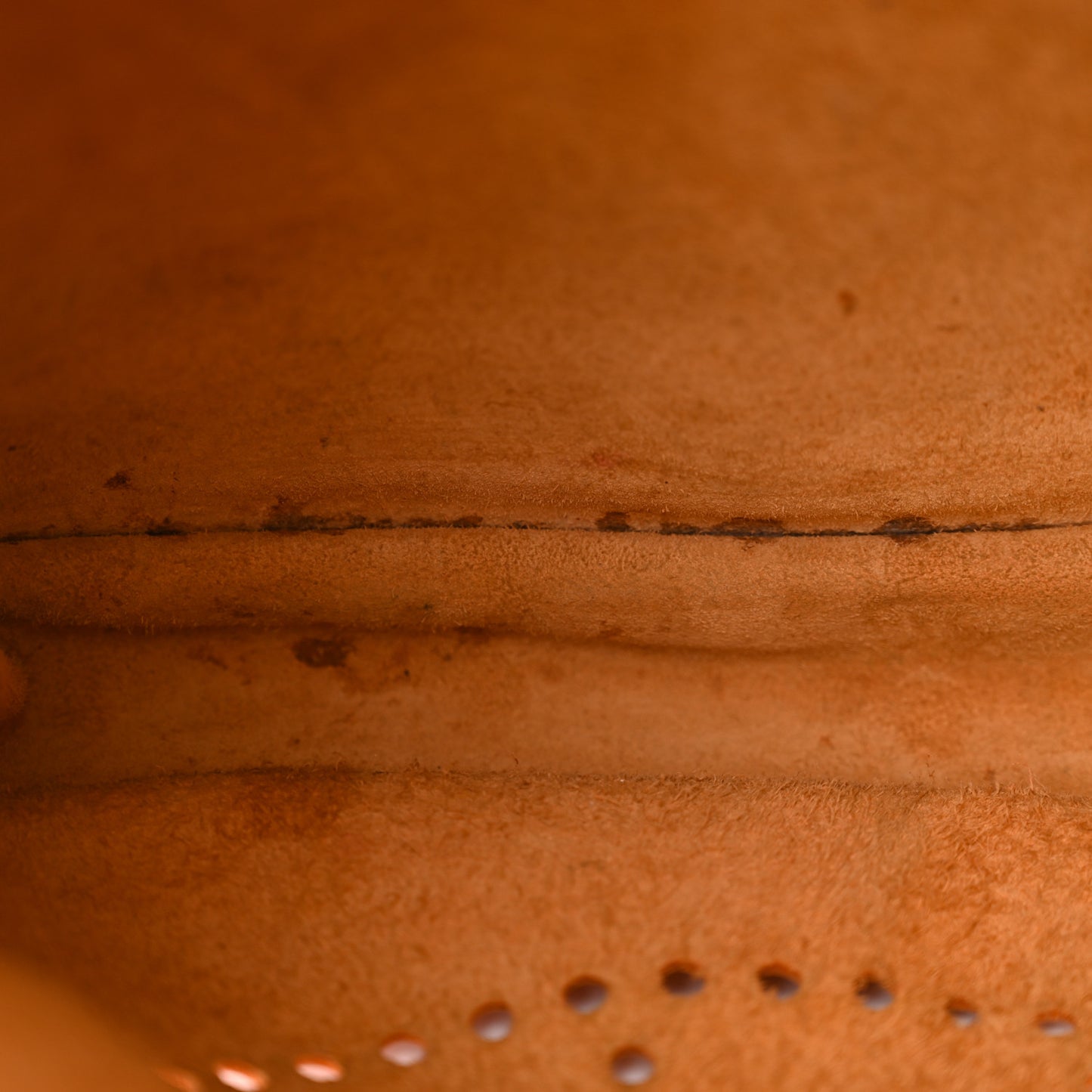 Epsom Evelyne III GM Orange