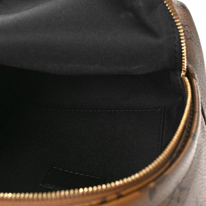 Louis Vuitton Reverse Monogram Palm Springs Backpack Mini 5 of 8