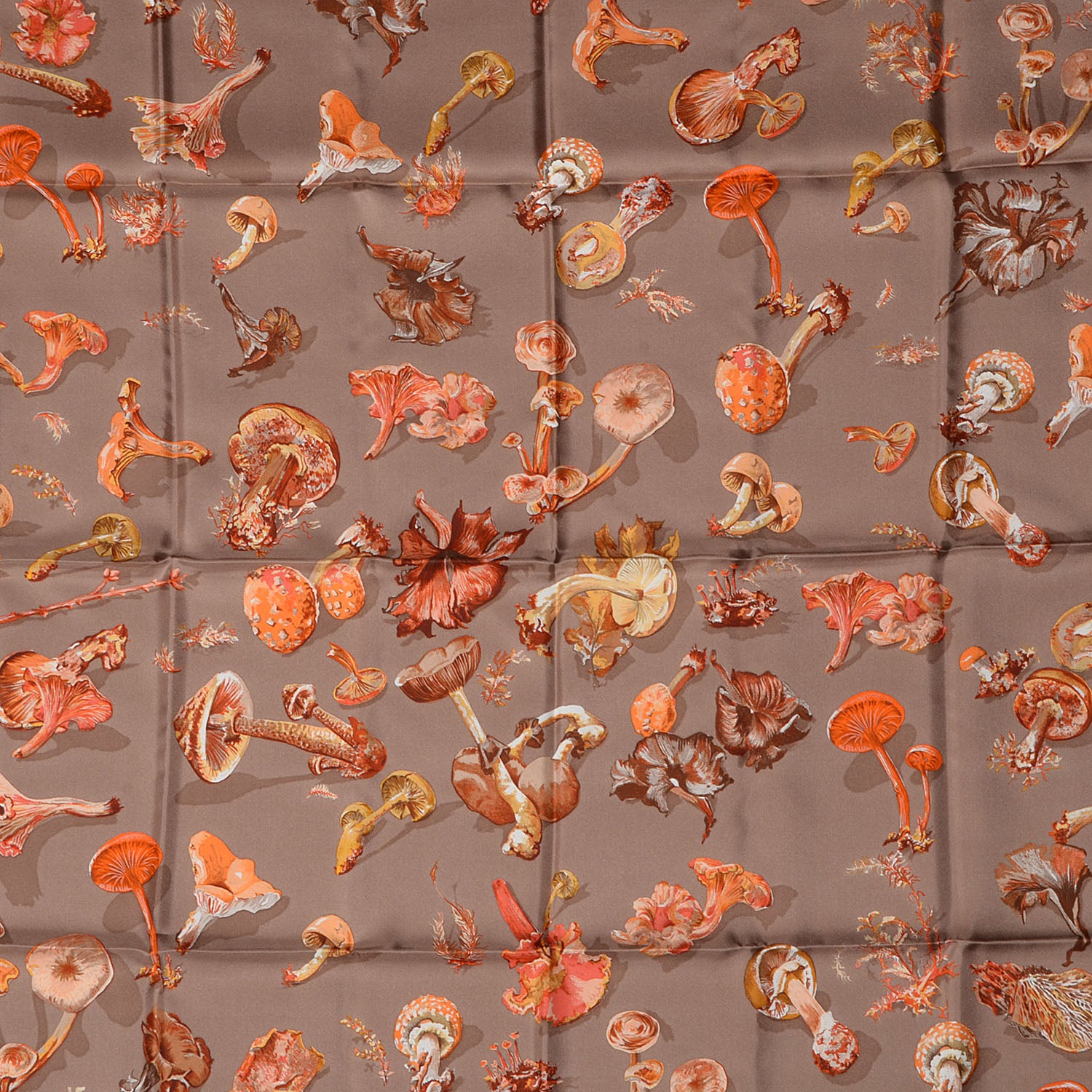 Hermes Silk Champignons Scarf 90 1 of 5
