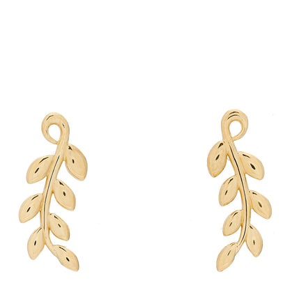 Tiffany 18K Yellow Gold Paloma Picasso Olive Leaf Climber Earrings 1 of 3
