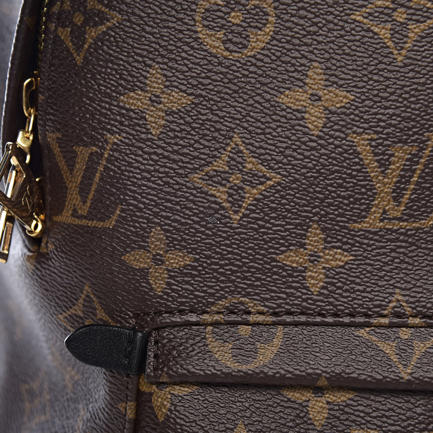 Monogram Palm Springs Backpack MM