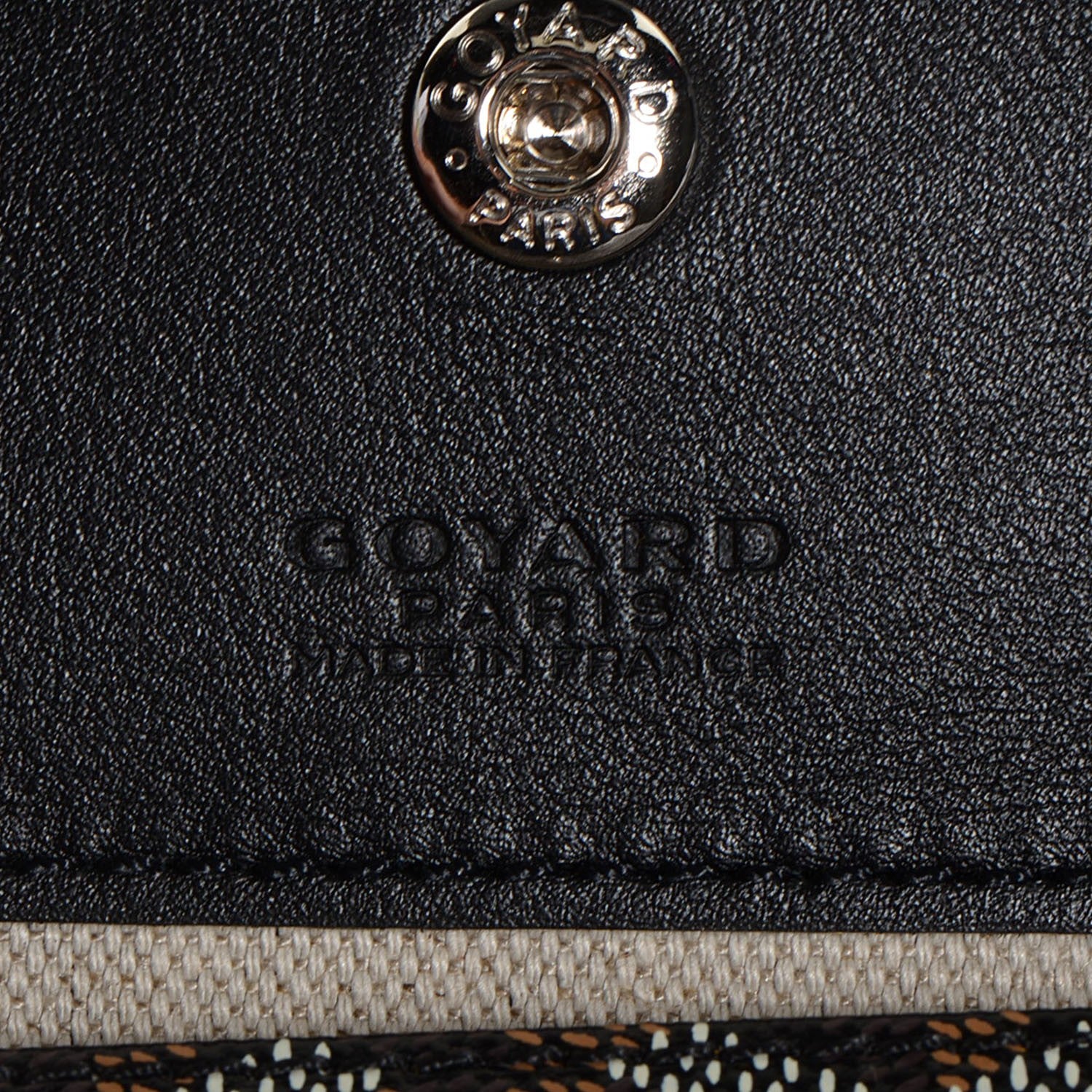 Goyard Goyardine Saint Louis PM Black 7 of 8