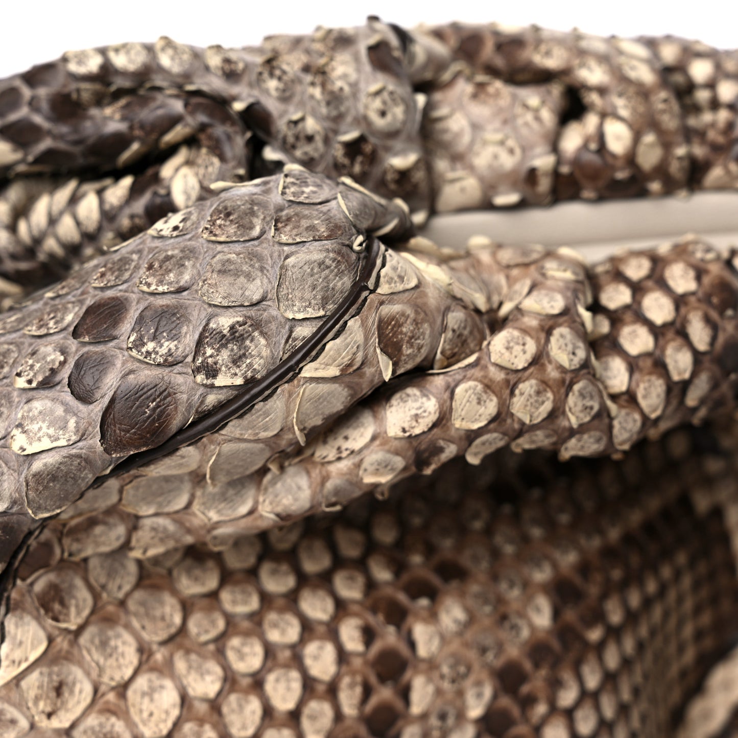 Python The Pouch Oversized Clutch Naturale