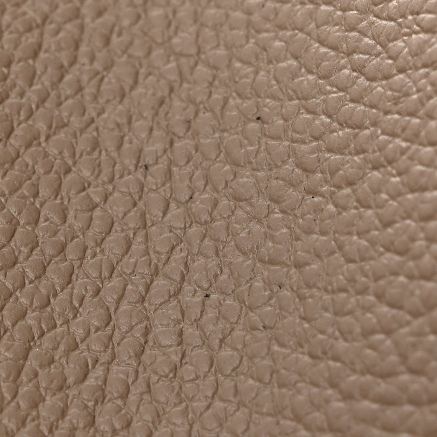 Empreinte Monogram Giant Victorine Wallet Tourterelle Creme