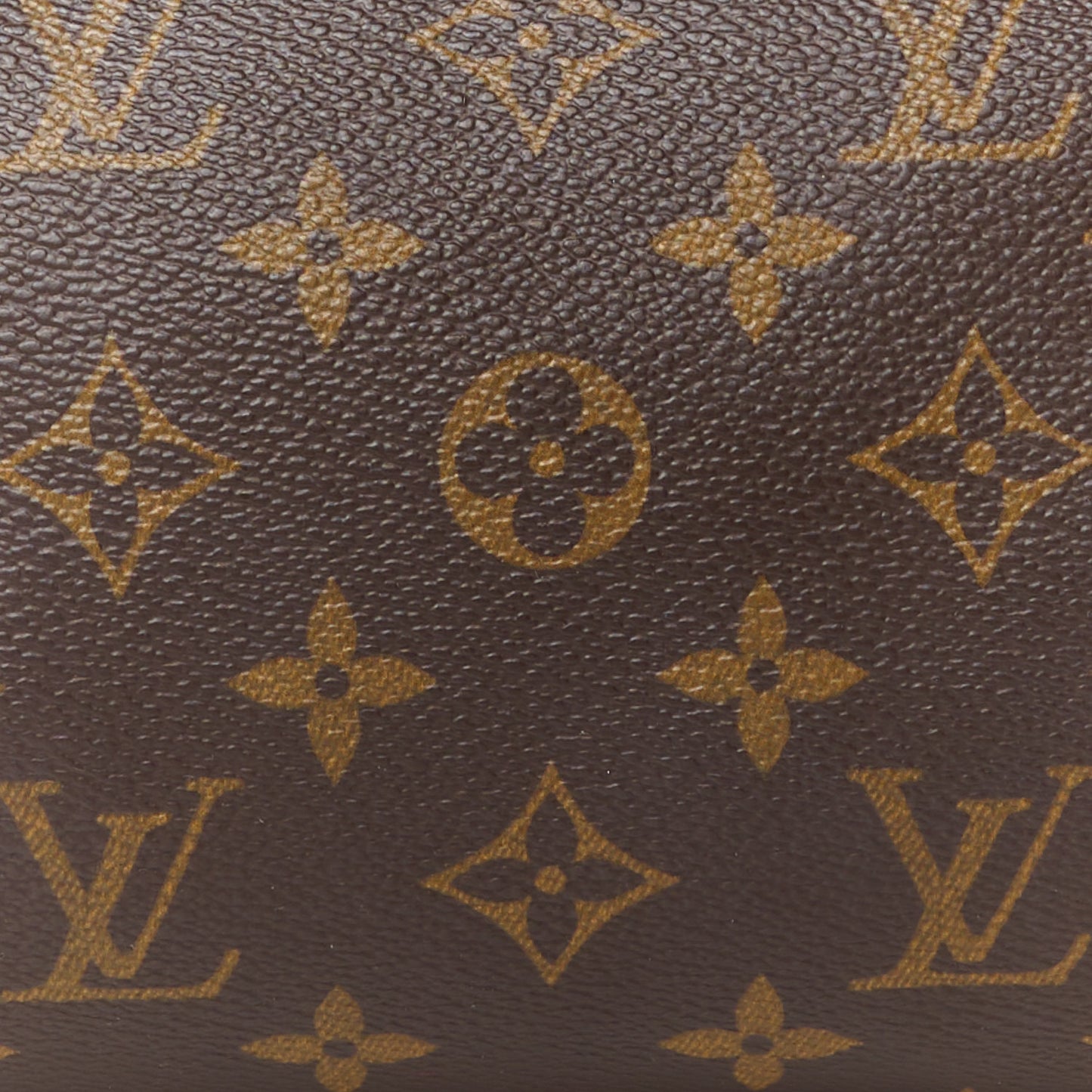 Monogram Papillon 26