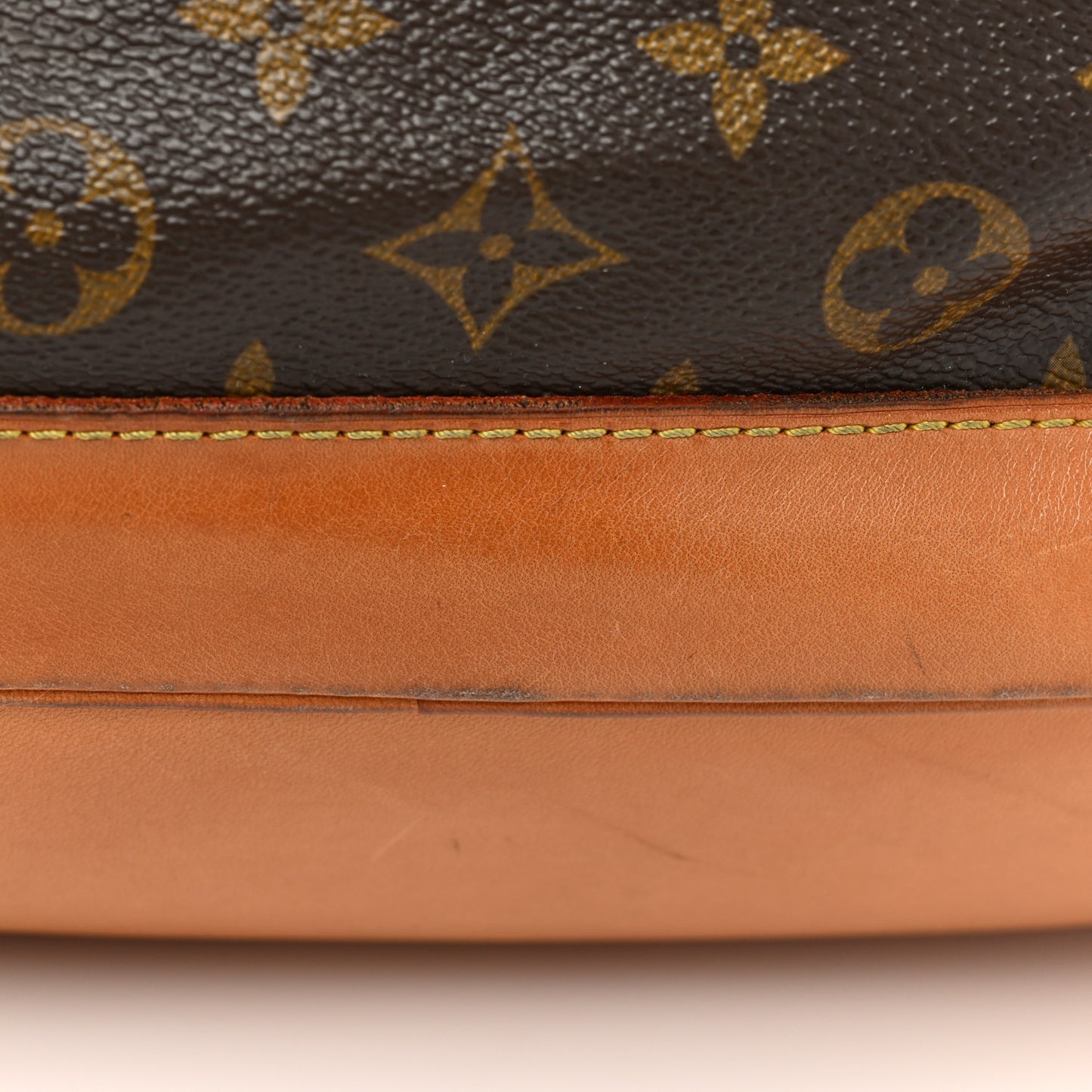 Monogram Montsouris GM Backpack