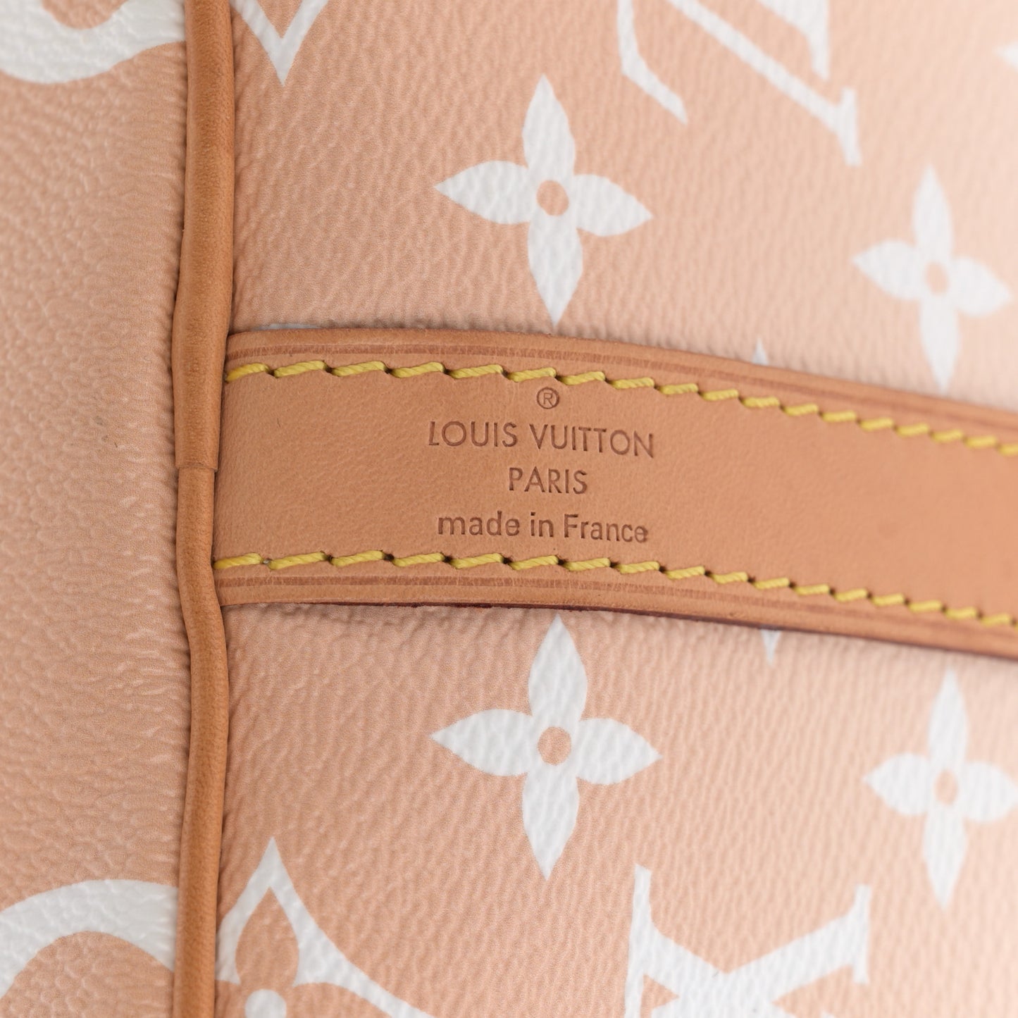 Monogram Giant By The Pool Speedy Bandouliere 25 Brume