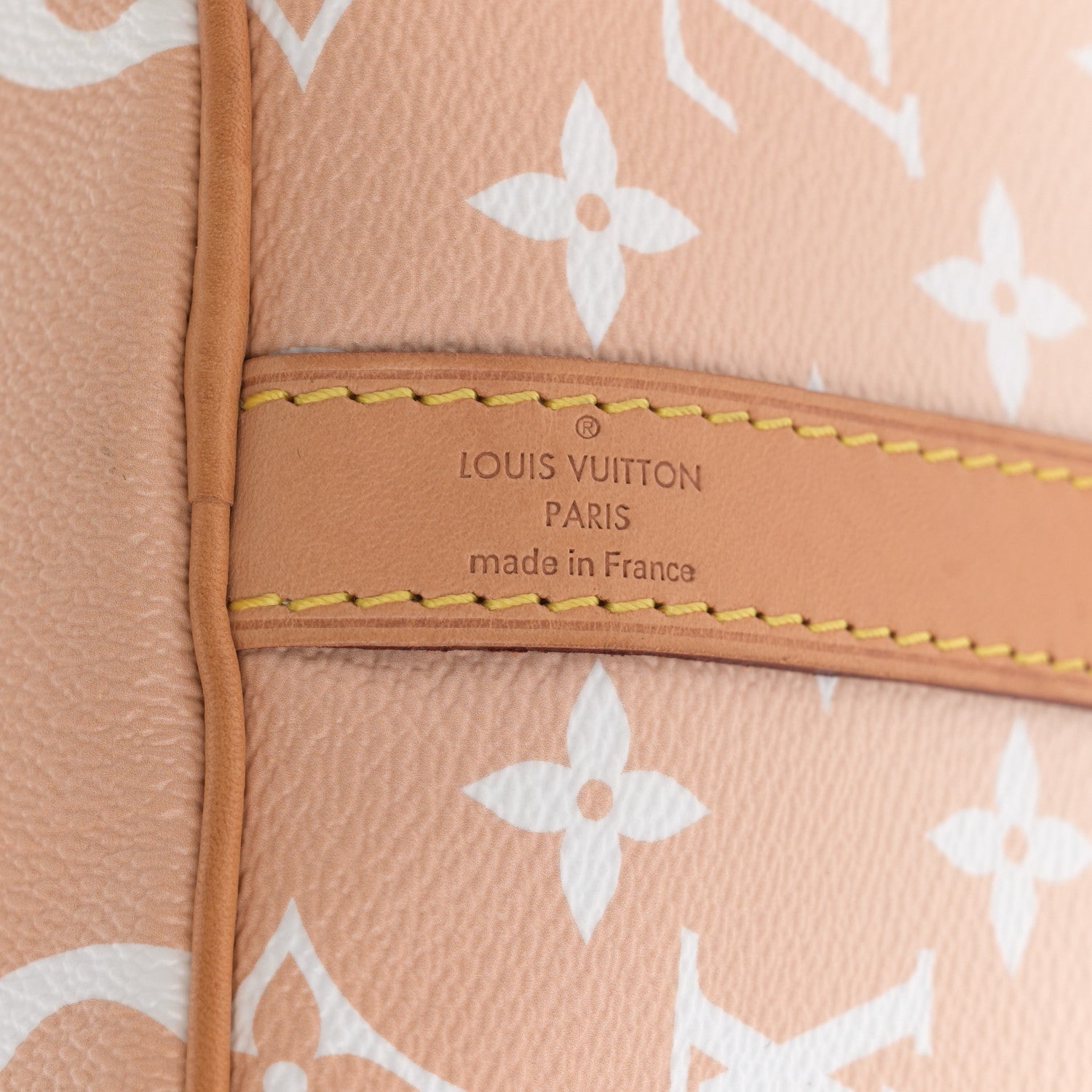 Louis Vuitton Monogram Giant By The Pool Speedy Bandouliere 25 Brume 7 of 19