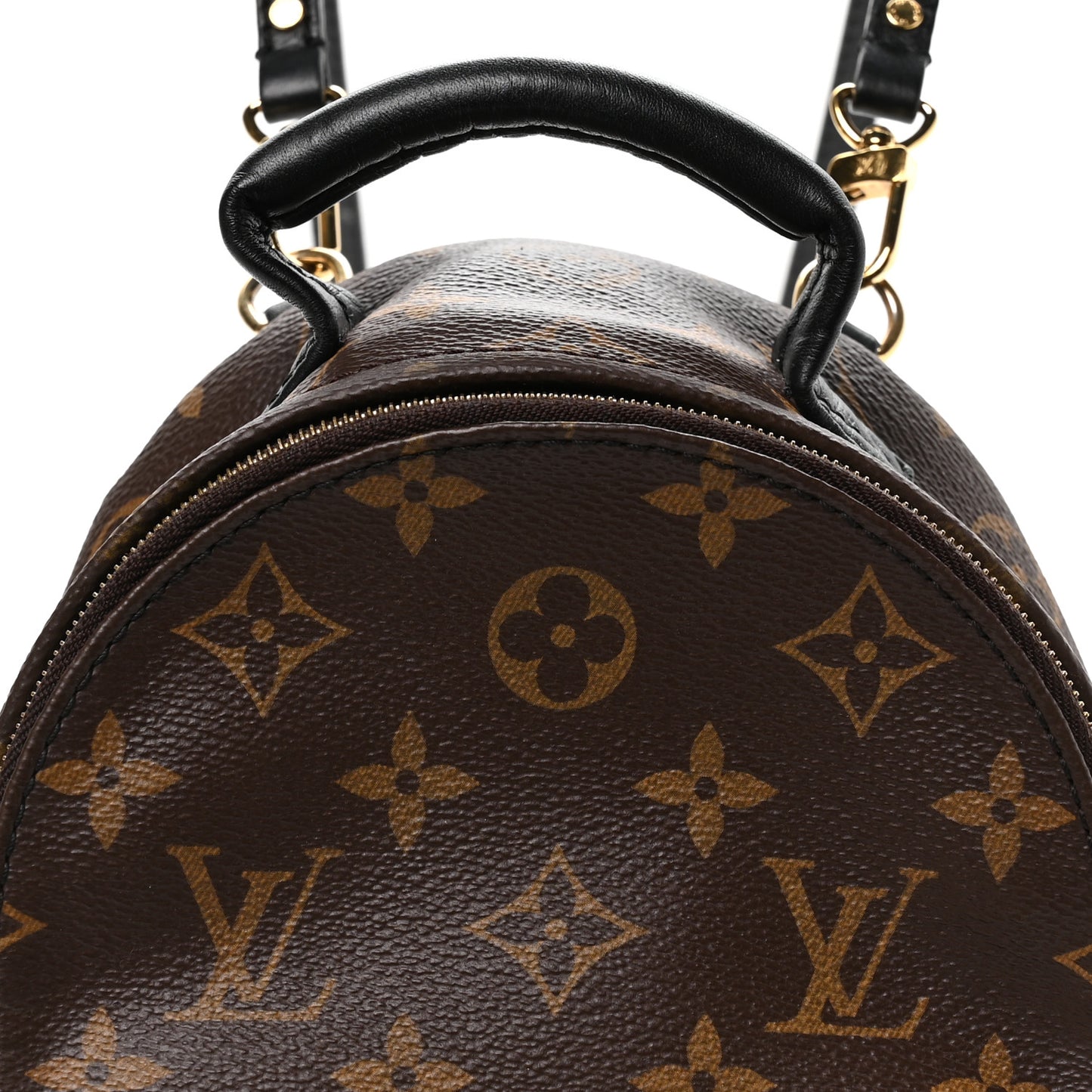 Monogram Palm Springs Backpack Mini
