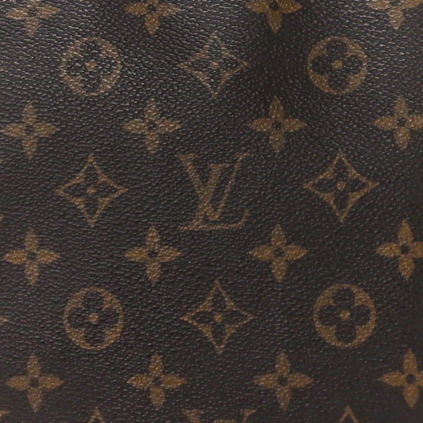 Monogram Looping MM