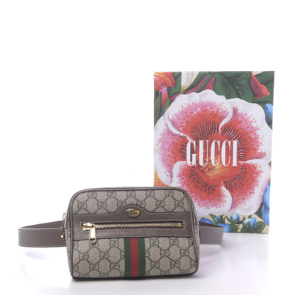 Gucci GG Supreme Monogram Web Small Ophidia Belt Bag 85 34 Dark Brown 11 of 11